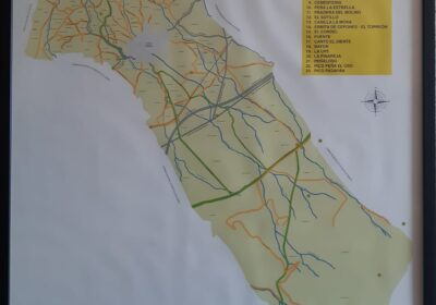 IMG-20240311-WA0005